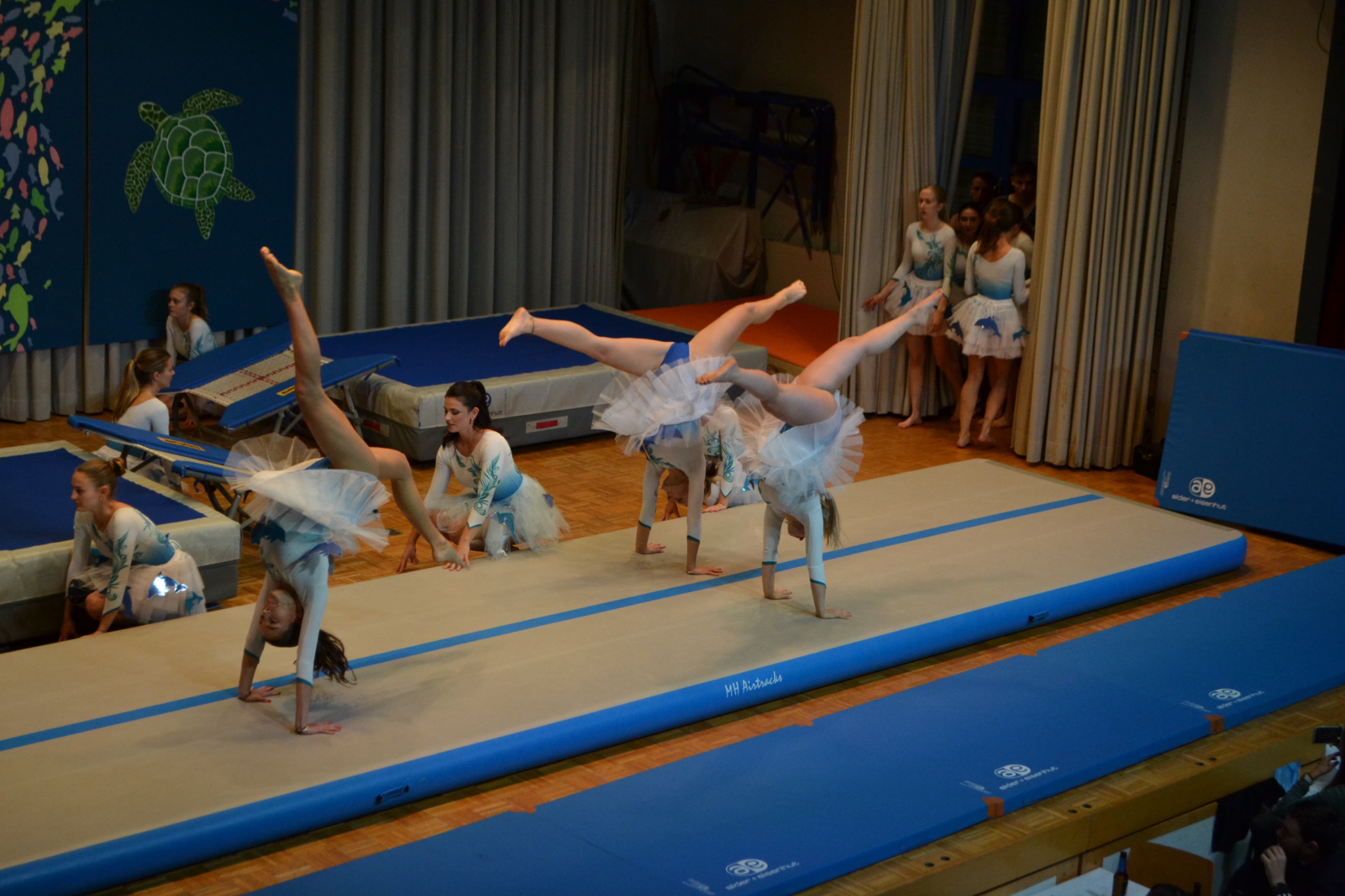 Bild2 (59)